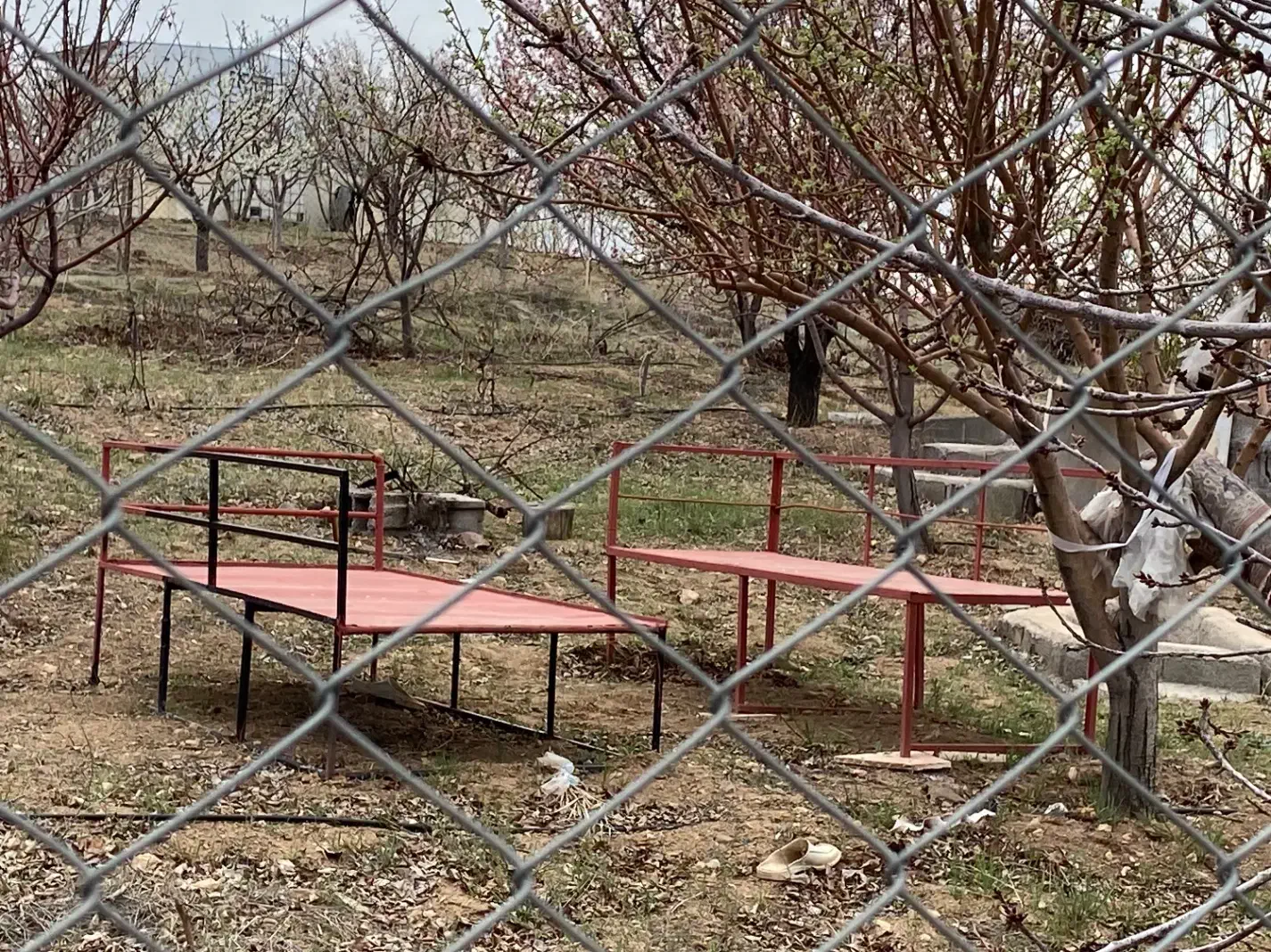 تخت آهنی|صندلی و نیمکت|زنجان, |دیوار