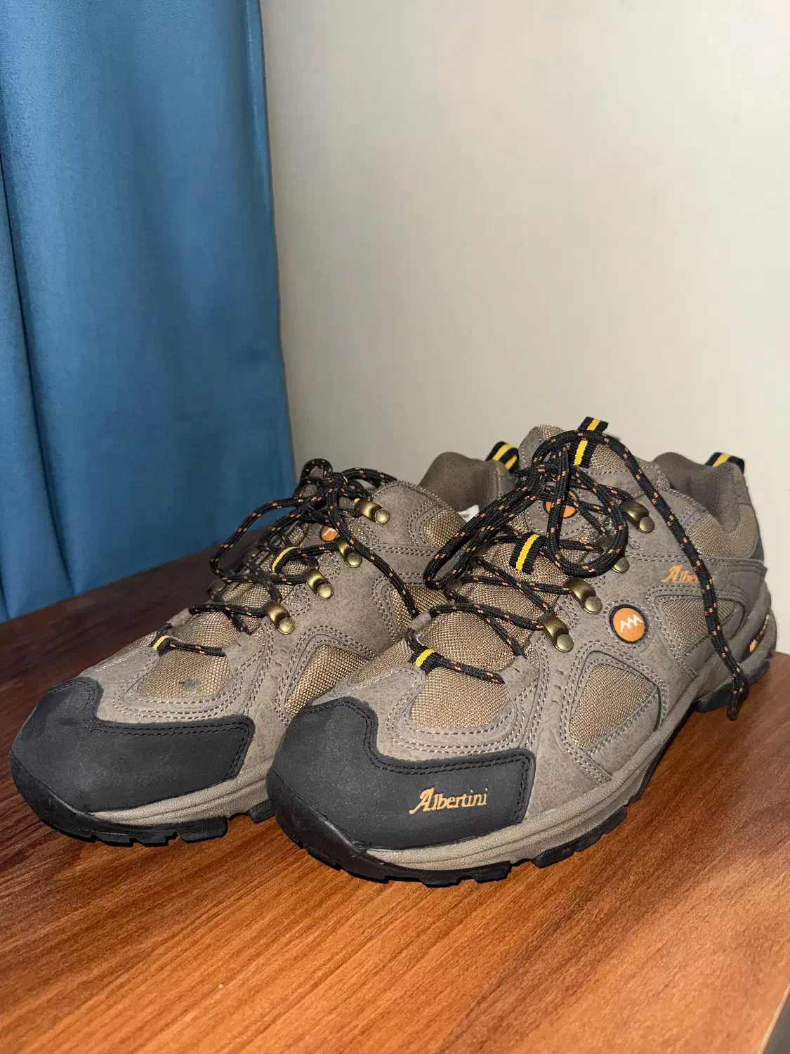 کفش طبیعت گردی البرتینی سایز ۴۳|کوهنوردی و کمپینگ|لواسان, |دیوار