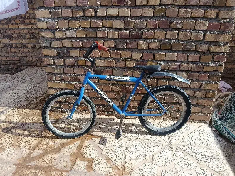 دوچرخه 20در حد|دوچرخه، اسکیت، اسکوتر|تربت جام, باغ سنگان سفلی|دیوار