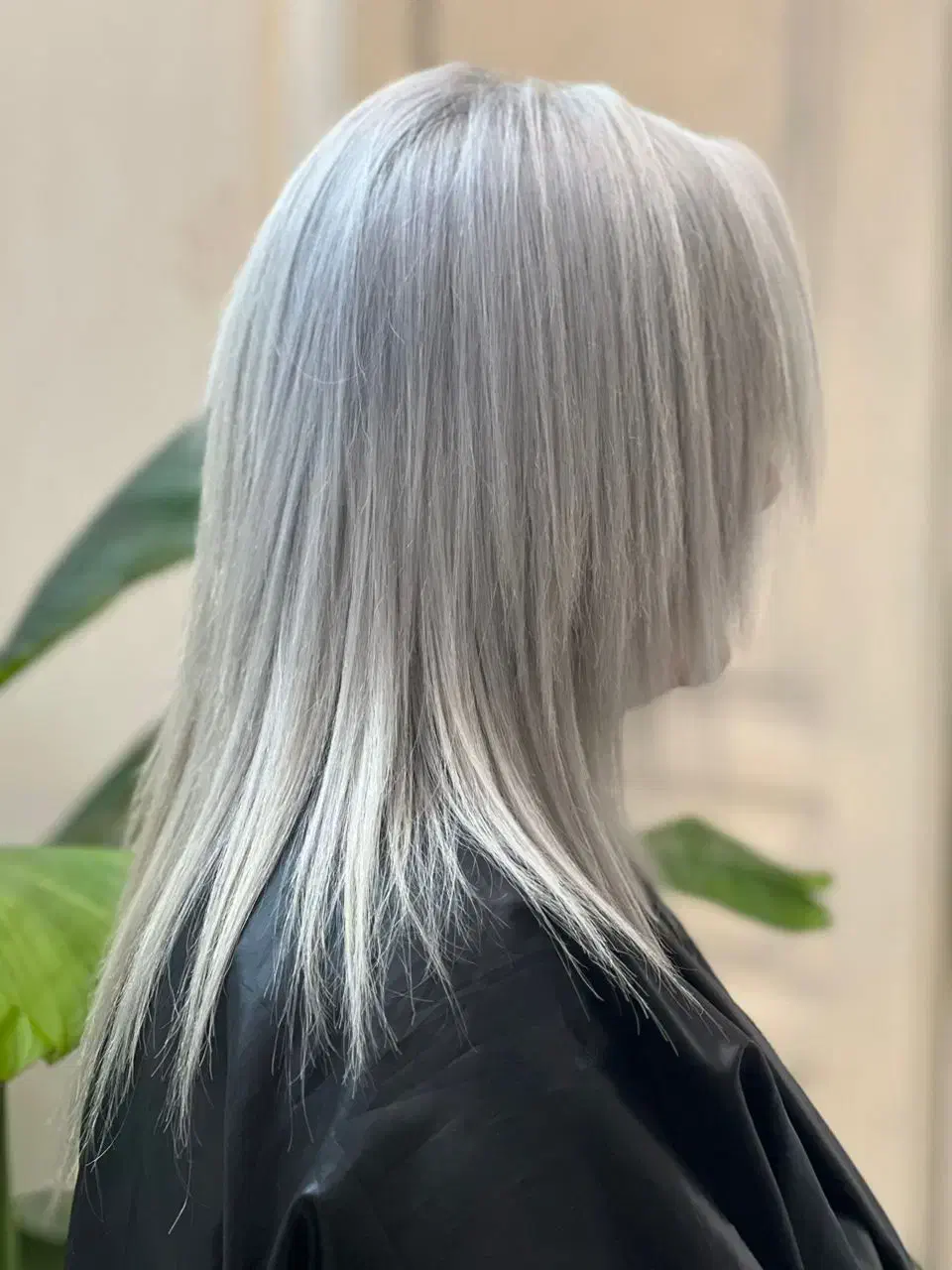 کراین پروتیین بوتاکس مو و هایلایت|خدمات آرایشگری و زیبایی|گرگان, |دیوار