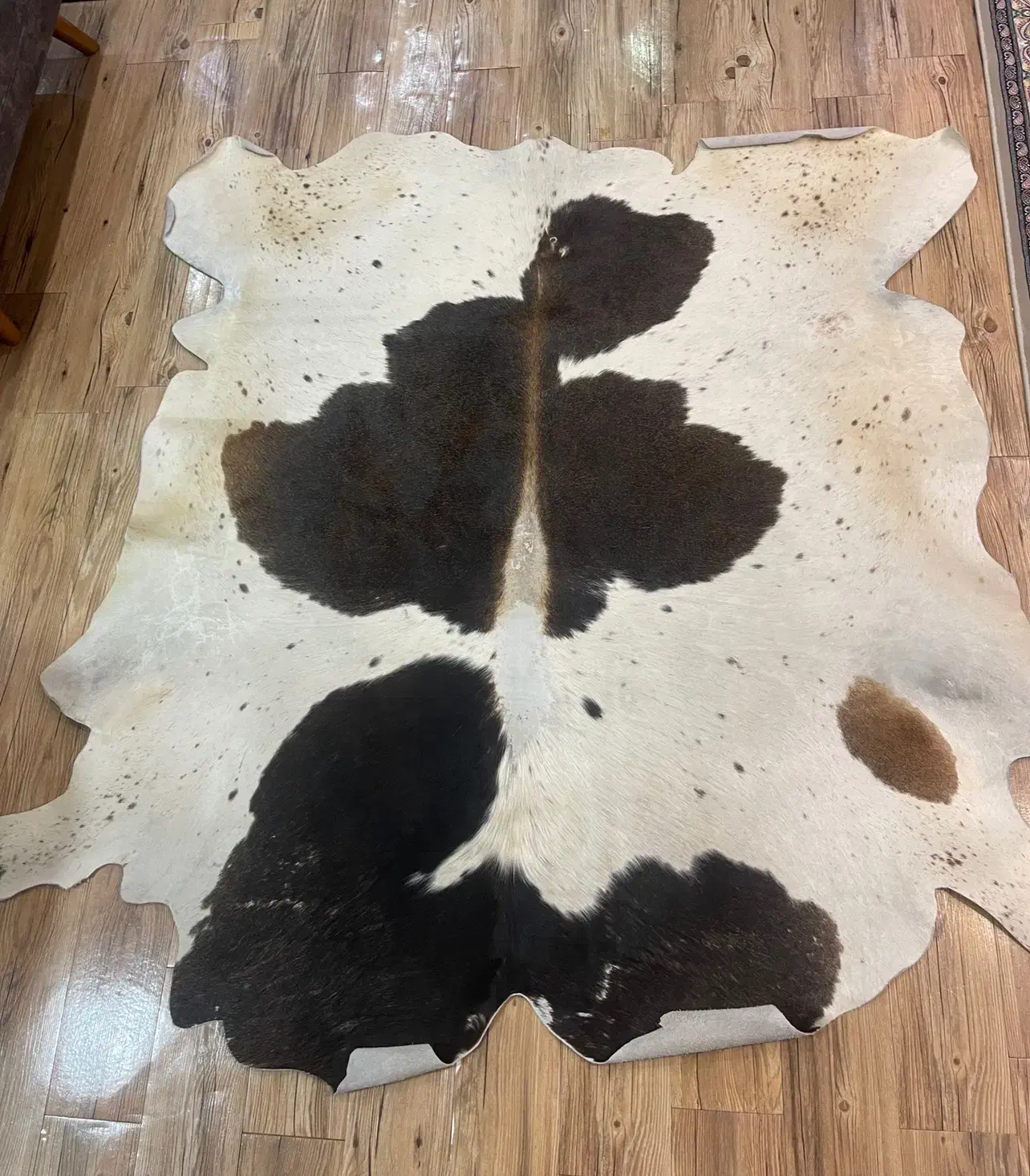 پوست گاو|گلیم، جاجیم، گبه|اصفهان, سپاهان‌شهر|دیوار