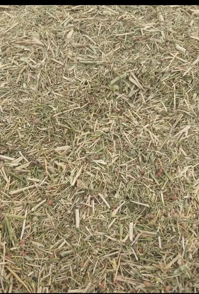 خار کوبیده نرم|لوازم جانبی حیوانات|گناباد, |دیوار