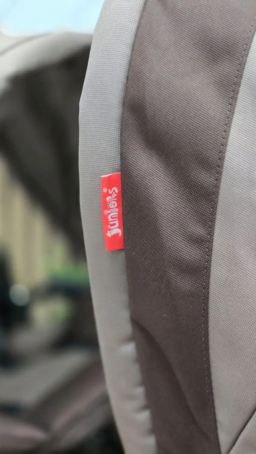 کالسکه دوقلو|کالسکه و لوازم جانبی|کرج, باغستان|دیوار