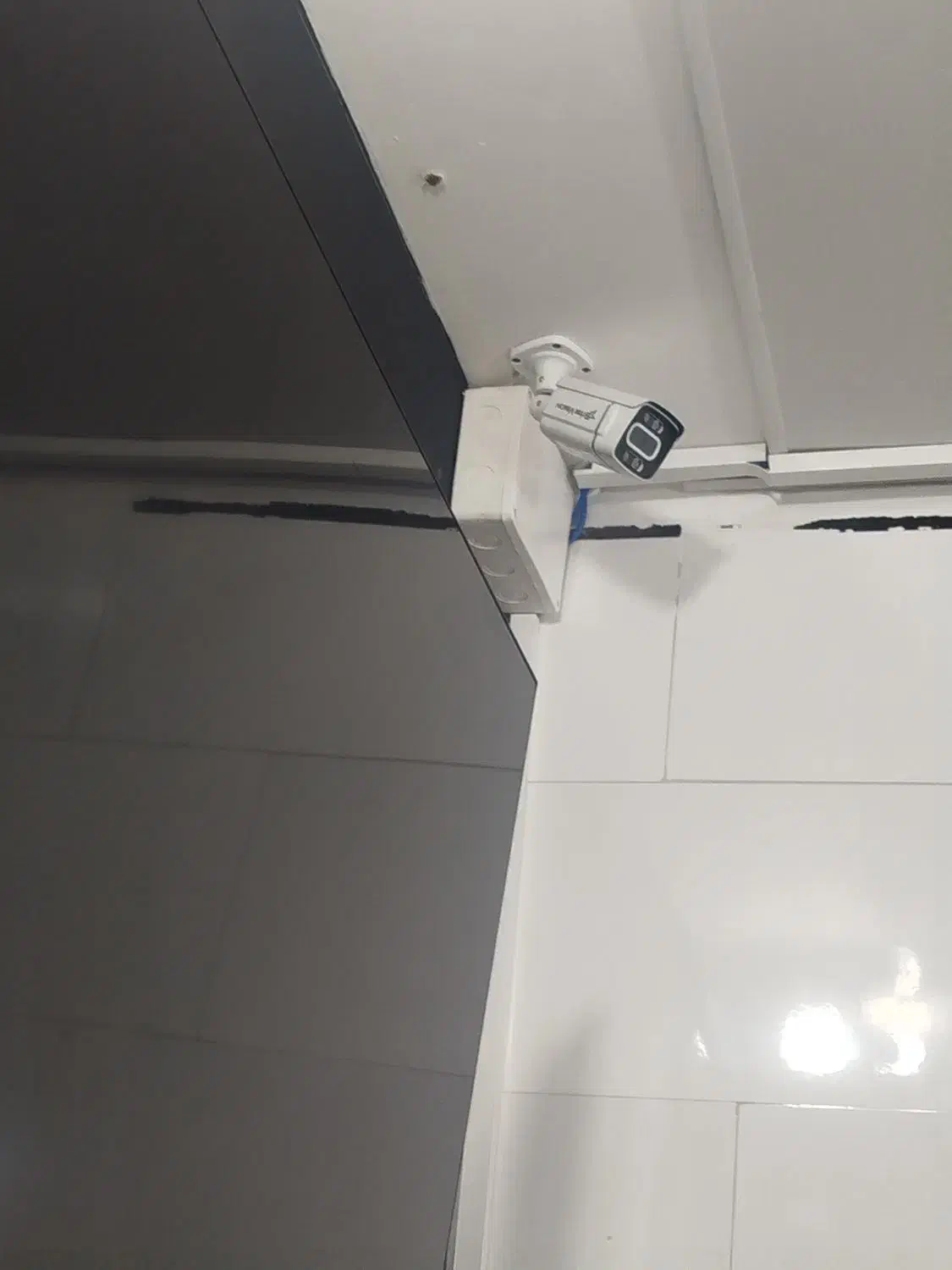 فست فود|کافی‌شاپ و رستوران|لنجان, |دیوار