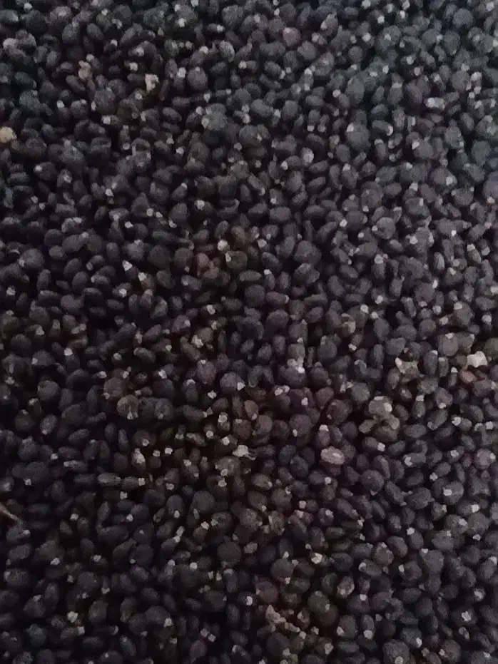 فروش بذر خرفه بوجاری شده|گل و گیاه طبیعی|مرودشت, شهرک مهدیه|دیوار