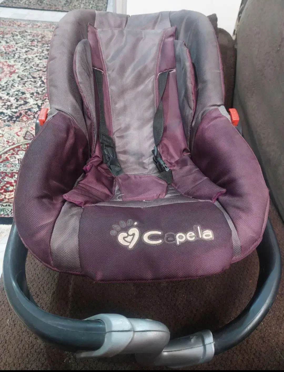 کریری|کالسکه و لوازم جانبی|رفسنجان, |دیوار