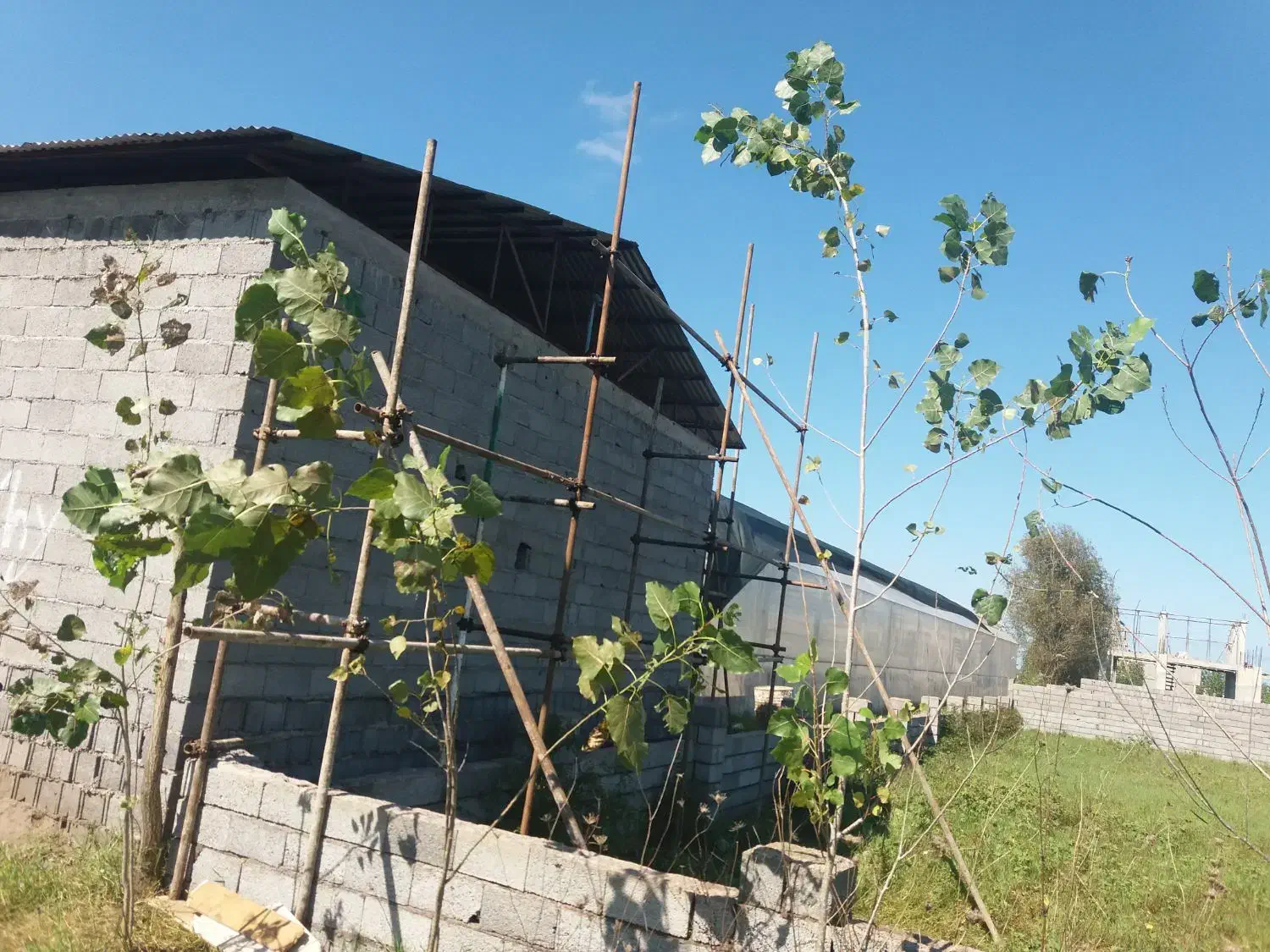 نصب ایزوگام و داربست سقف نما کفراژ خشکی مجالس بنر|خدمات پیشه و مهارت|شلمان, |دیوار