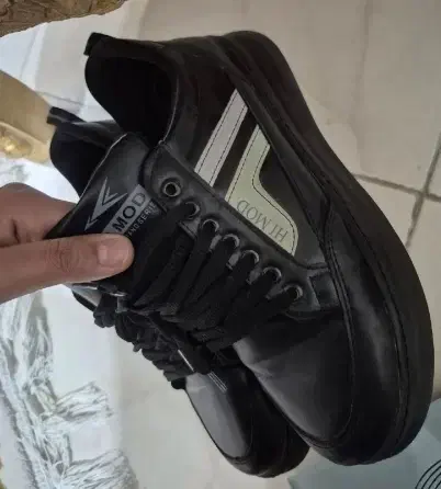 کتانی نو|کیف، کفش، کمربند|گلستان (تهران), |دیوار