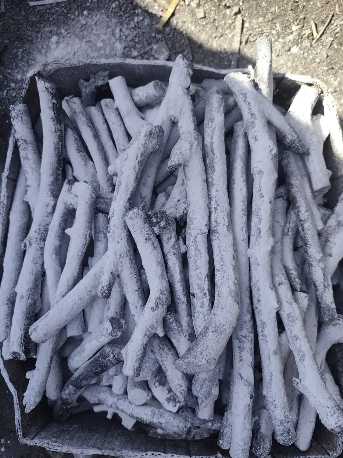 زغال لیمو قلم شاخه سفید نانو و مشکی یک دست|عمدهفروشی|تبریز, |دیوار