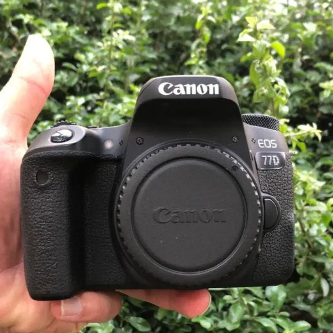 دوربین عکاسی کانن ۷۷دی77d با لنز ۵۰فیکس|دوربین عکاسی و فیلم‌برداری|همدان, |دیوار