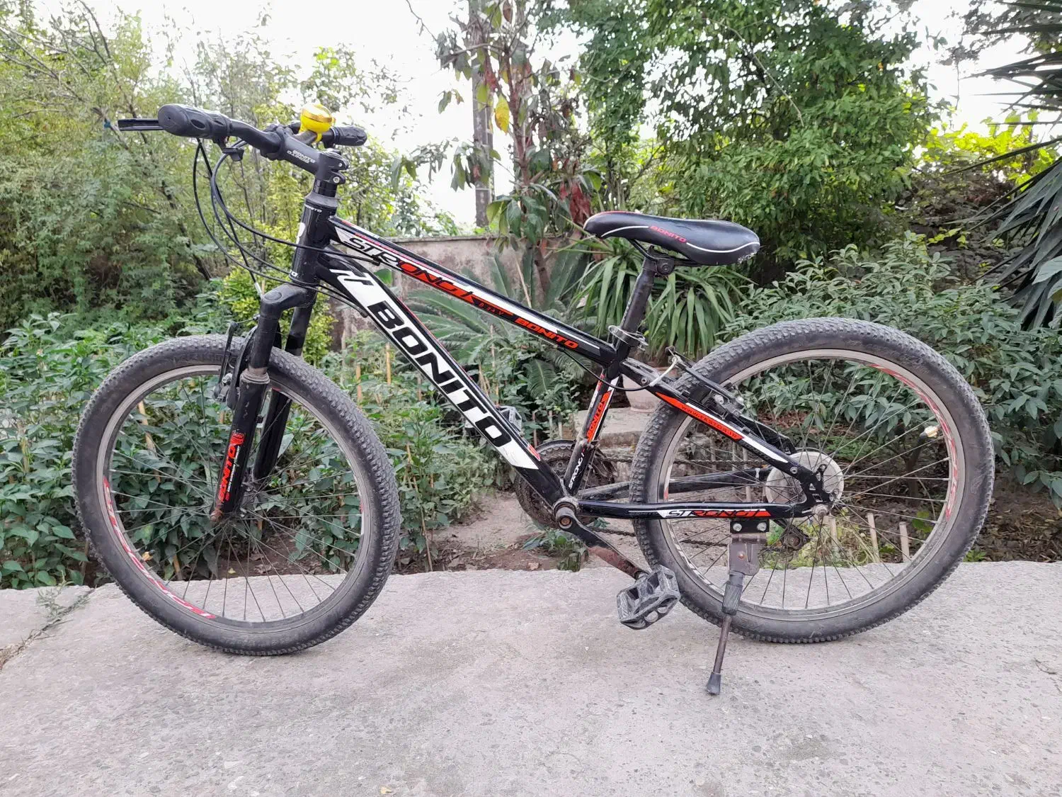 سایز بیست و چهار|دوچرخه، اسکیت، اسکوتر|رشت, جانبازان|دیوار