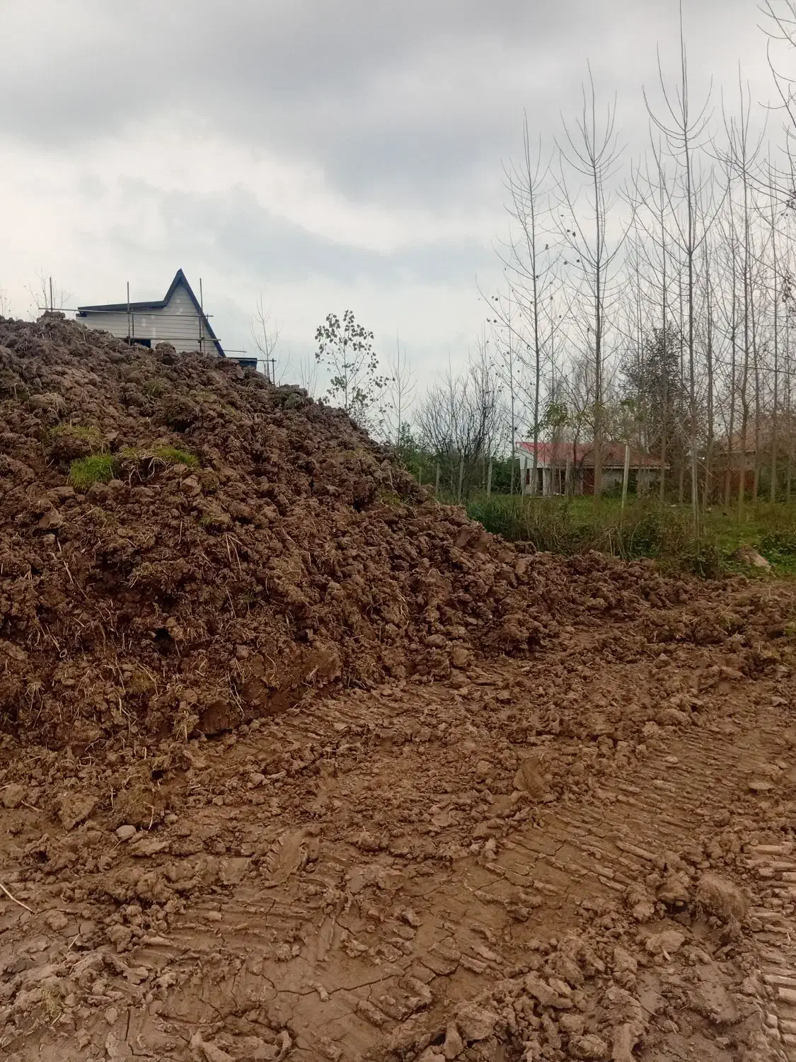 خاک مرغوب باغی|خدمات باغبانی و درختکاری|سنگر, |دیوار