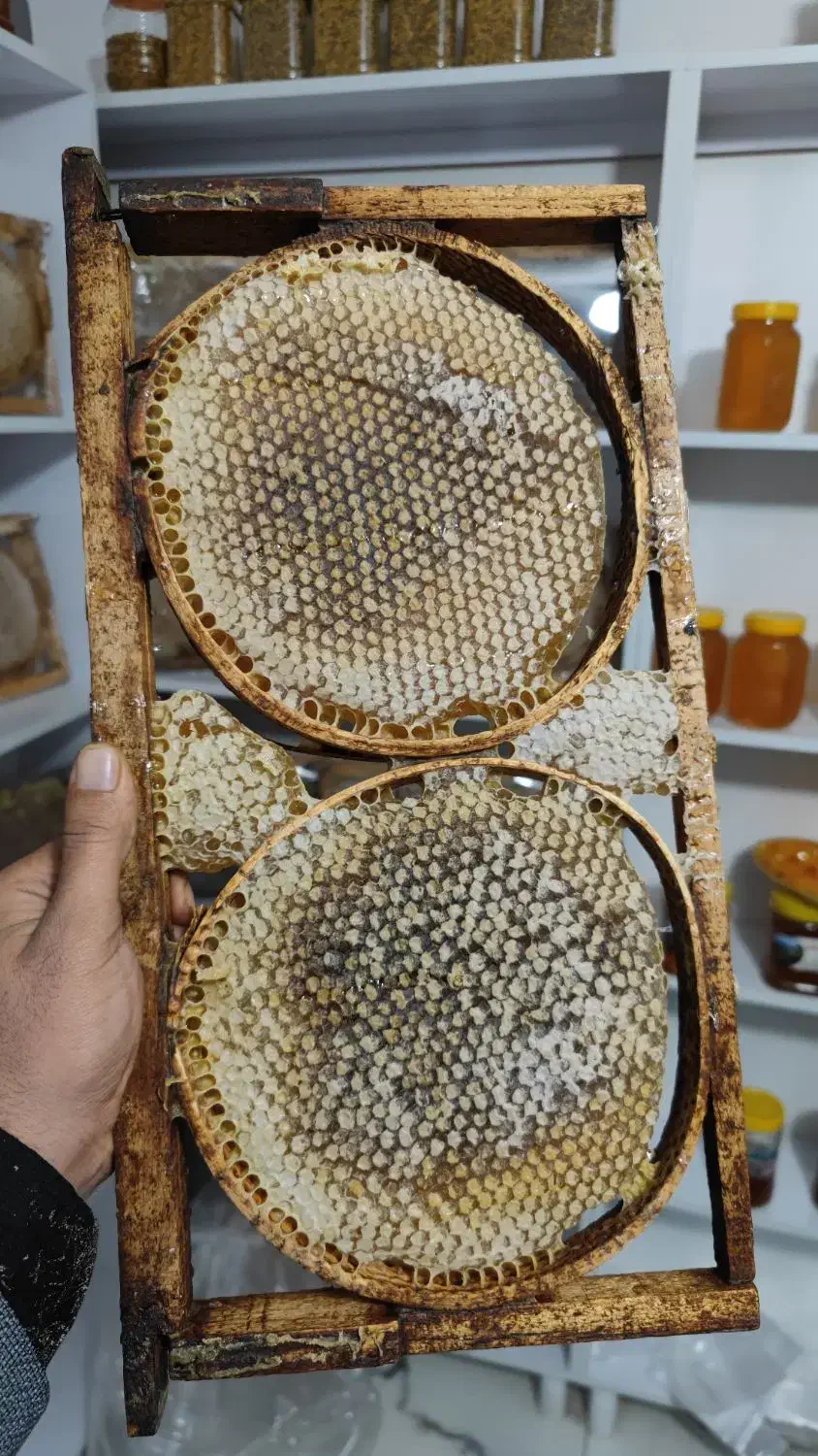 خودبافت|خوردنی و آشامیدنی|سیلوانه, |دیوار