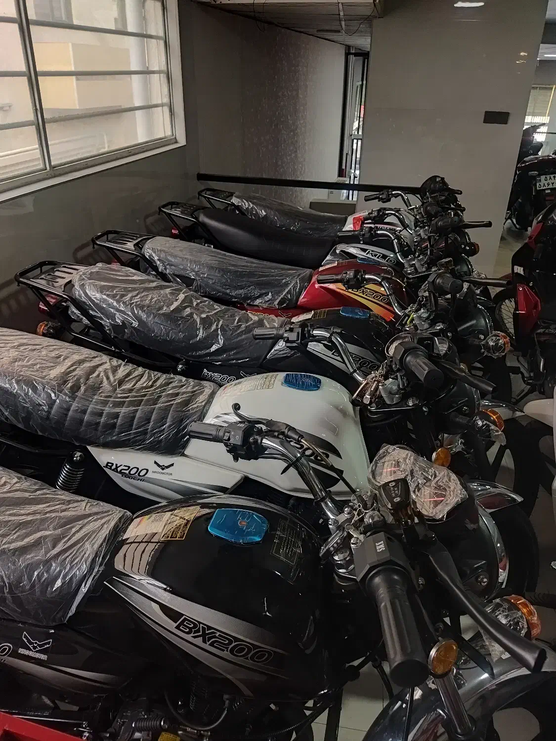 باکسر 200 / 8 ماهه بدون سود / تخفیف ویژه نقدی|موتورسیکلت|رشت, فلسطین|دیوار