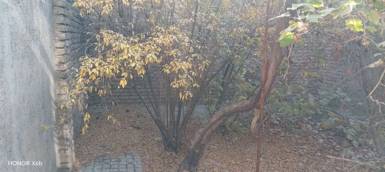 اجاره ویلایی دربست الغدیر شمالی|اجارهٔ خانه و ویلا|نظرآباد, نظرآباد|دیوار