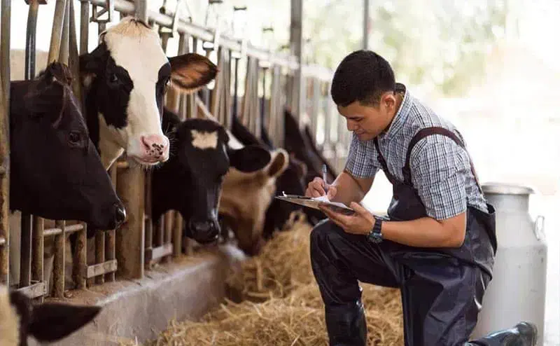 کارشناس علوم دامی|استخدام اداری و مدیریت|فشاپویه, |دیوار