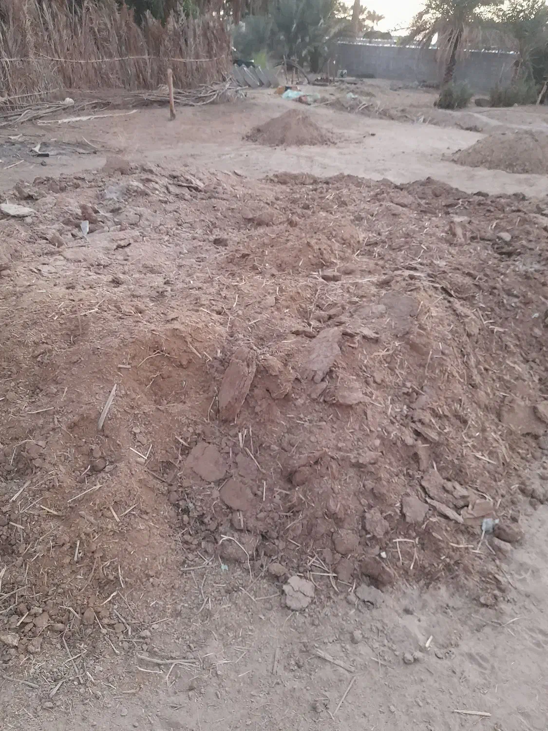 کود گاو|عمده‌فروشی|کهنوج, |دیوار