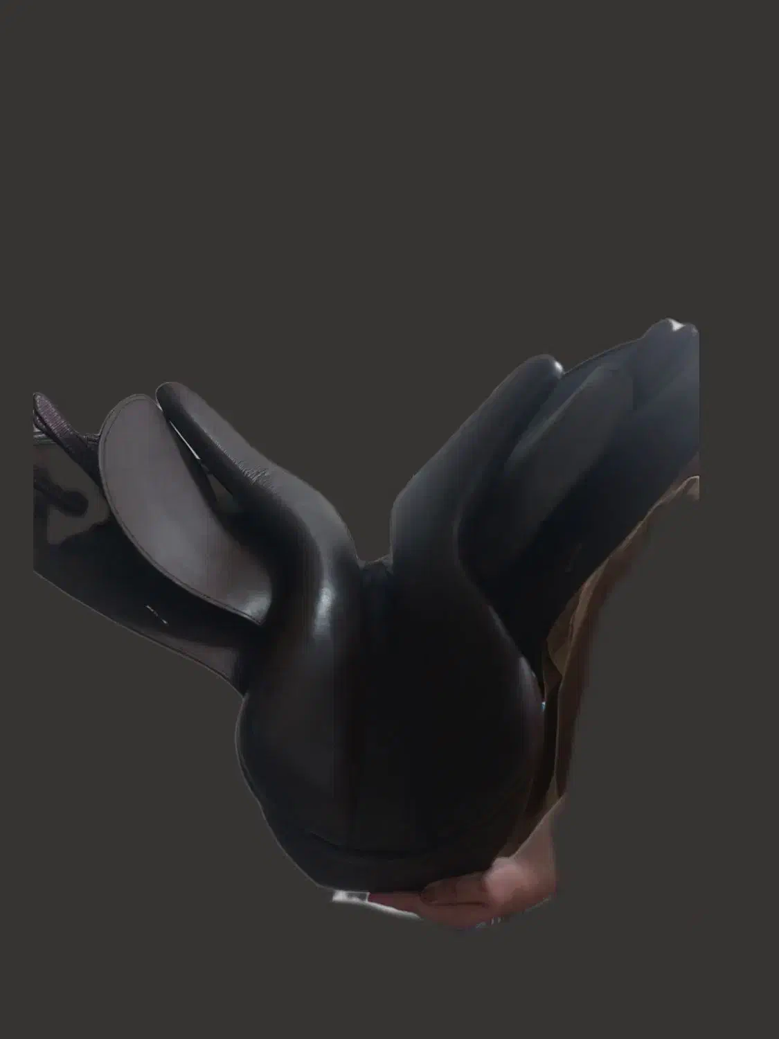 زین چرم نو نو|اسب و تجهیزات اسب‌سواری|بیرجند, |دیوار