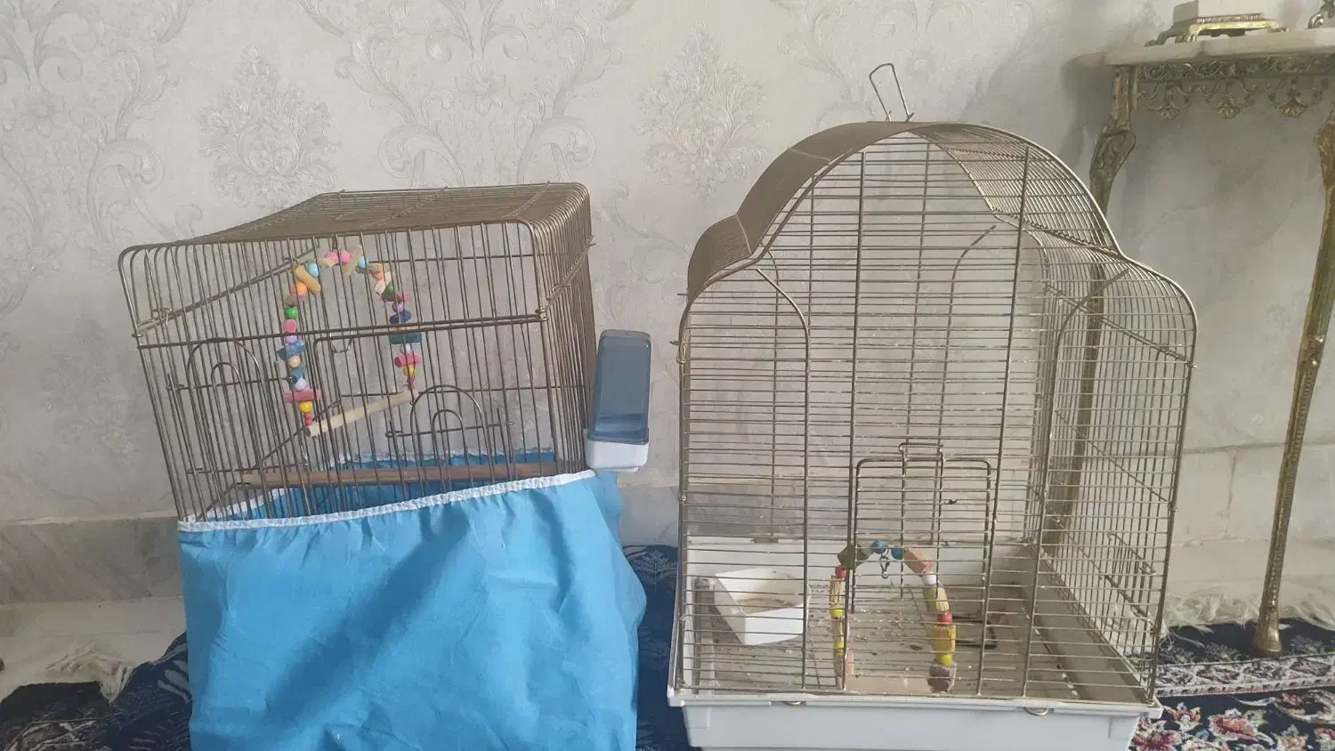 قفس پرنده|لوازم جانبی حیوانات|ملایر, |دیوار