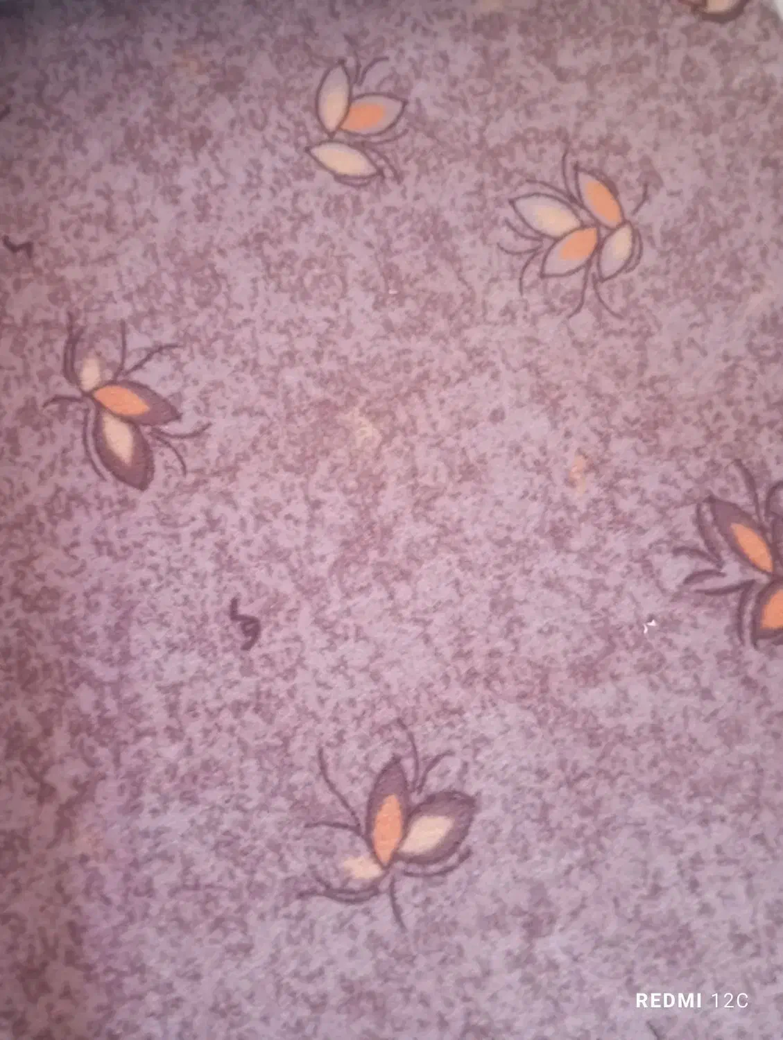 موکت|موکت|علیآباد کتول, |دیوار