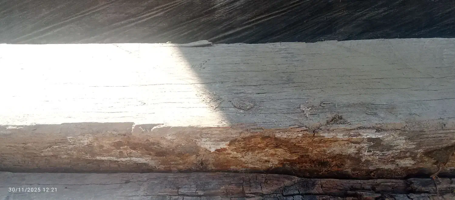 چوب چهار تراش|مصالح و تجهیزات ساختمان|کلاله, |دیوار