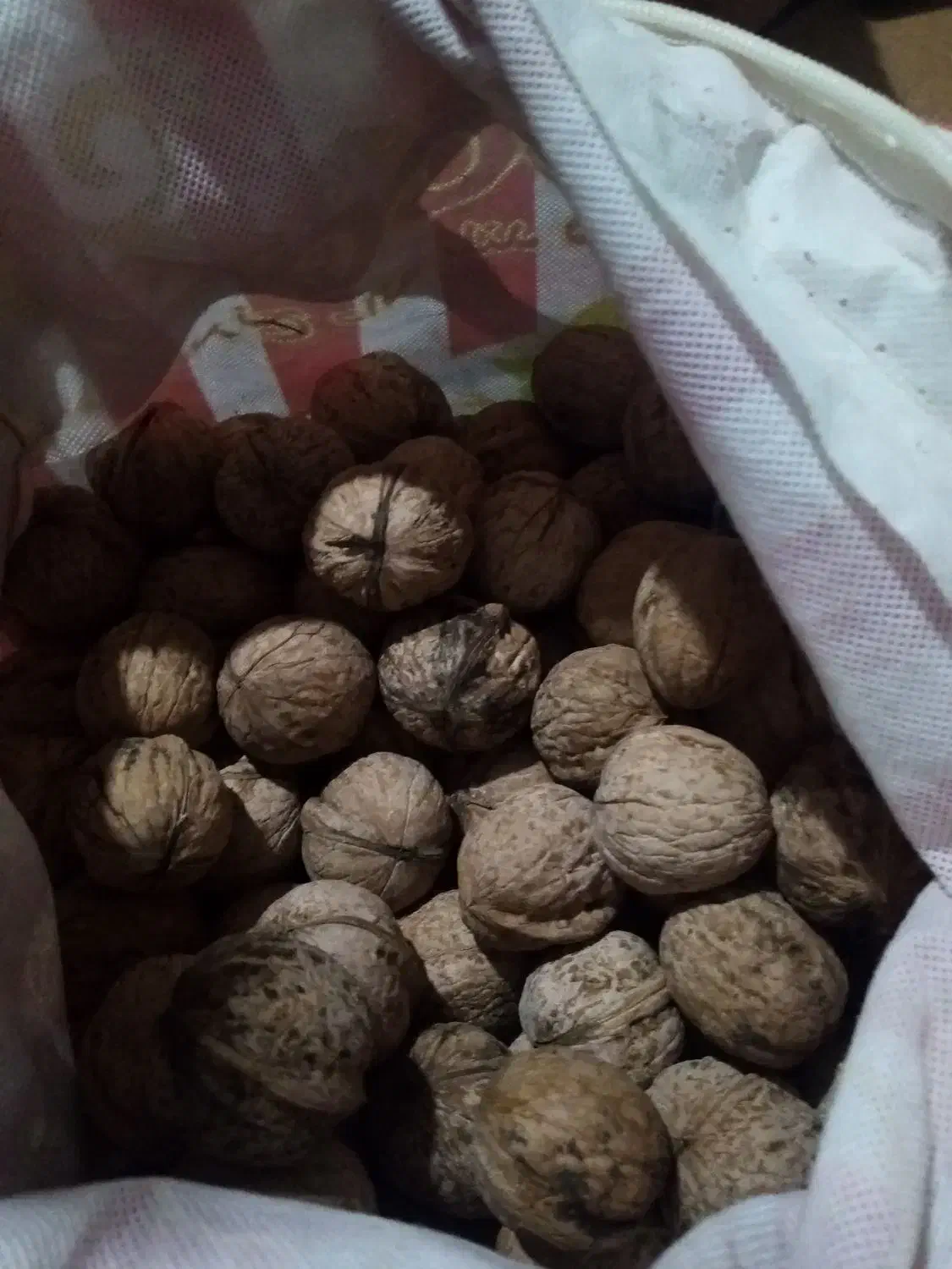 گردوامسال|خوردنی و آشامیدنی|نهاوند, |دیوار