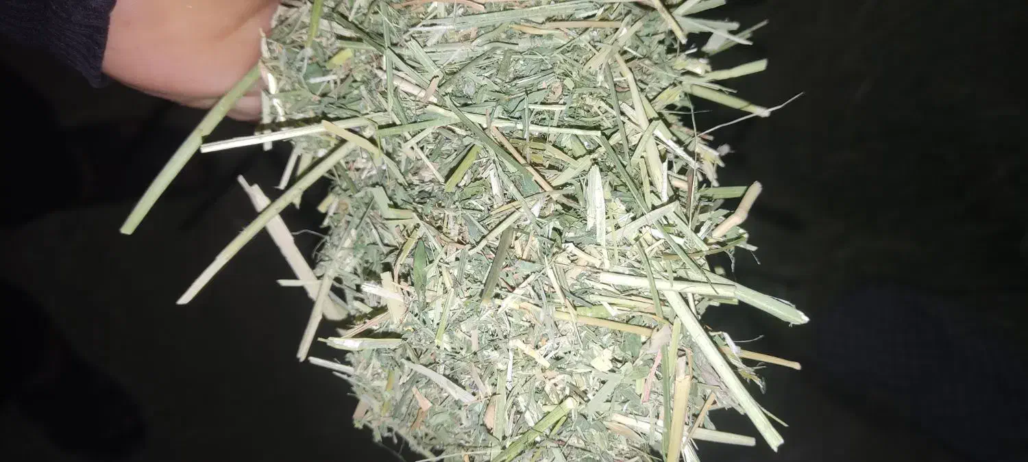 یونجه|عمدهفروشی|افشار, |دیوار