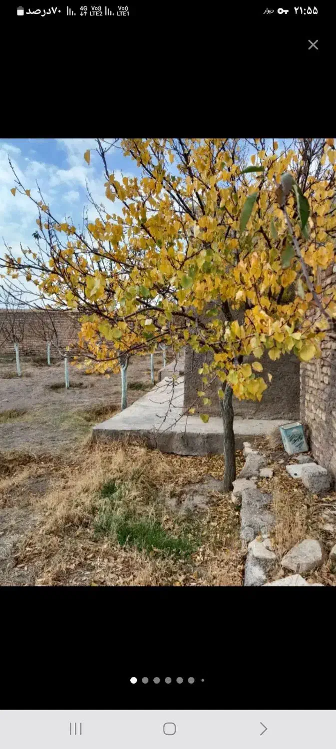 زمین در روستای دودهه|فروش زمین و ملک کلنگی|کوهین, |دیوار