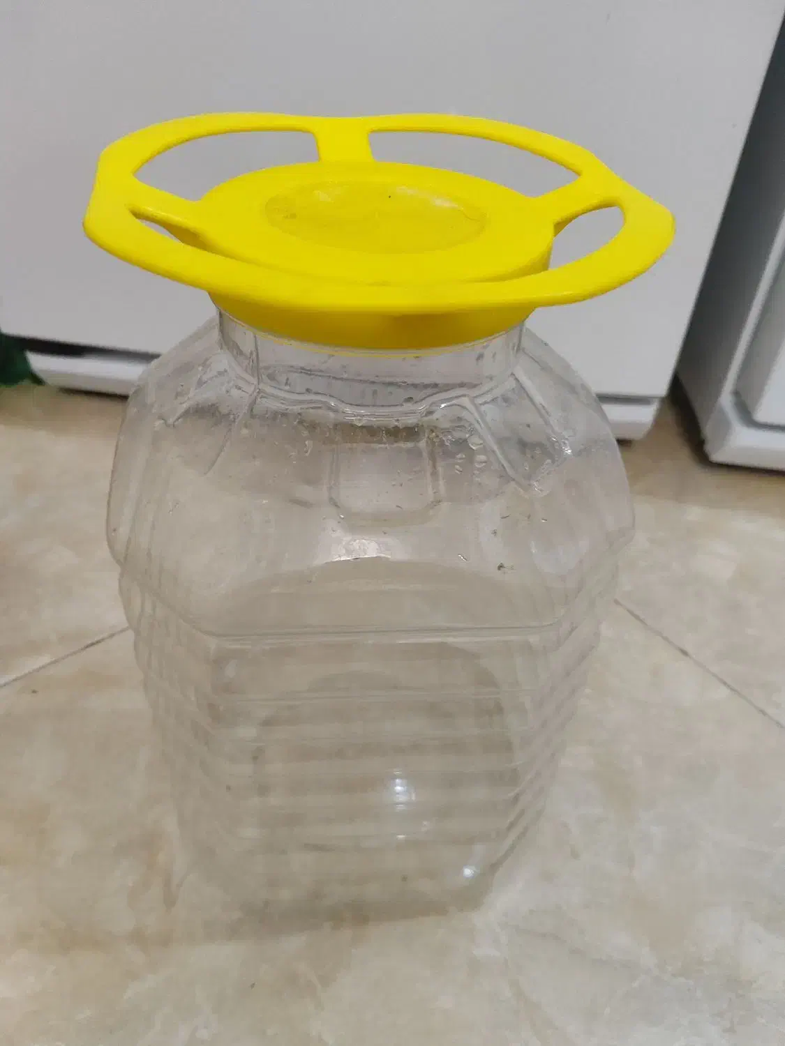 فروش ظرف چرخ فلکی|ظروف نگهدارنده، پلاستیکی، یک‌بارمصرف|رشت, خبرنگار|دیوار