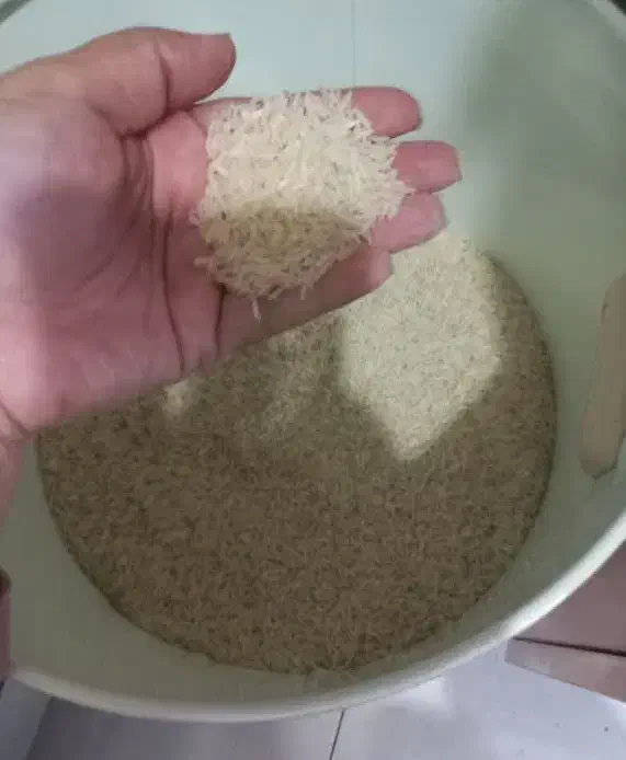 برنج هاشمی|خوردنی و آشامیدنی|تهران, آهنگ|دیوار