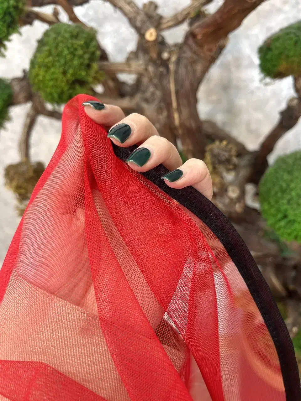 شال تور ساده شب یلدا|لباس|یاسوج, |دیوار