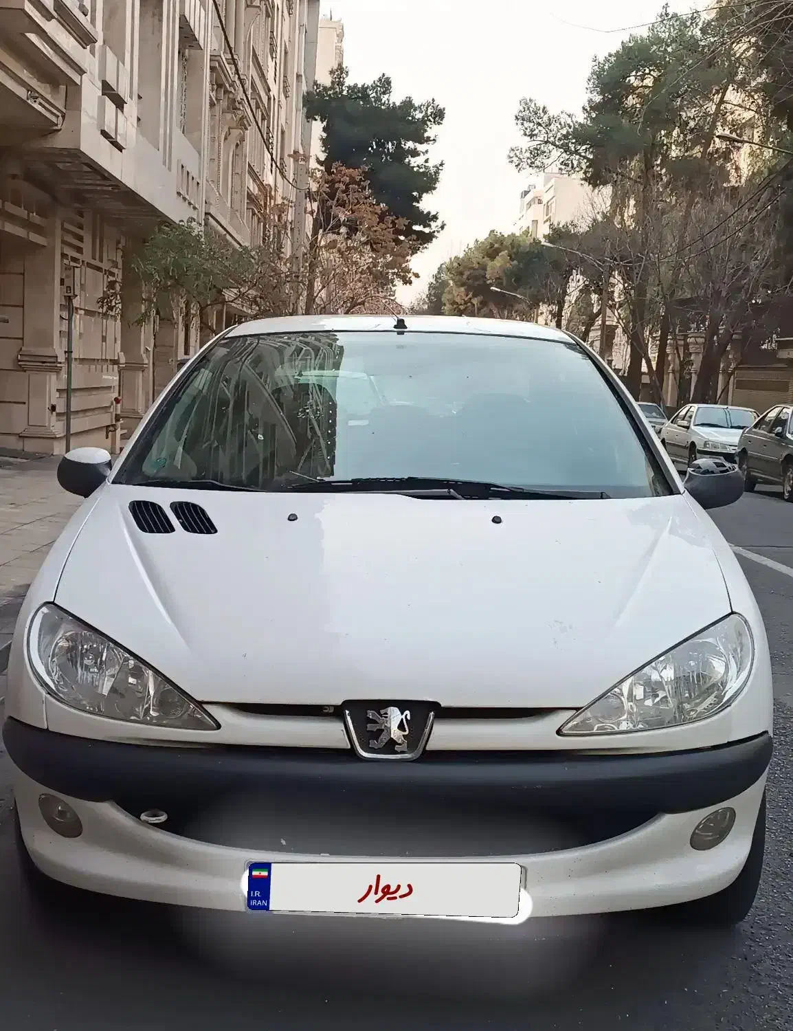 ۲۰۶ SD تیپ ۵|خودرو سواری و وانت|تهران, تهرانپارس جنوبی|دیوار