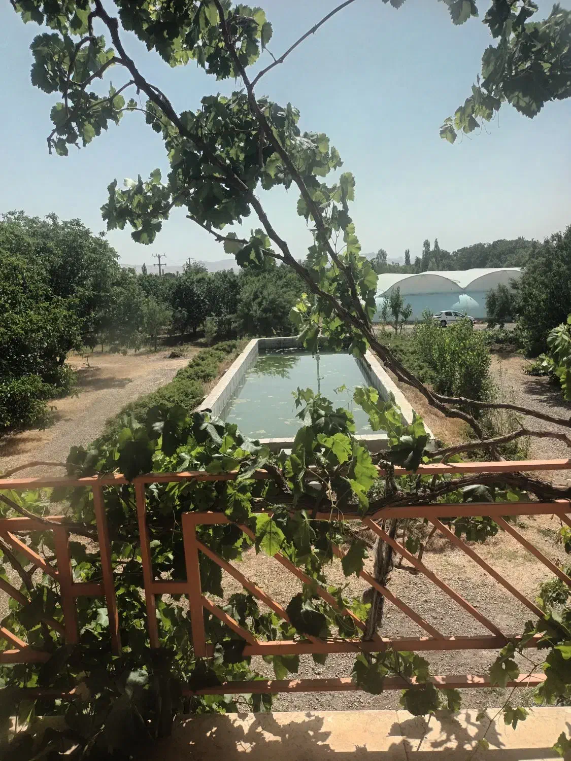 یک هکتار باغ همراه گلخانه با چاه عمیق اب|فروش دفتر صنعتی، کشاورزی، تجاری|شهریار, شهریار|دیوار