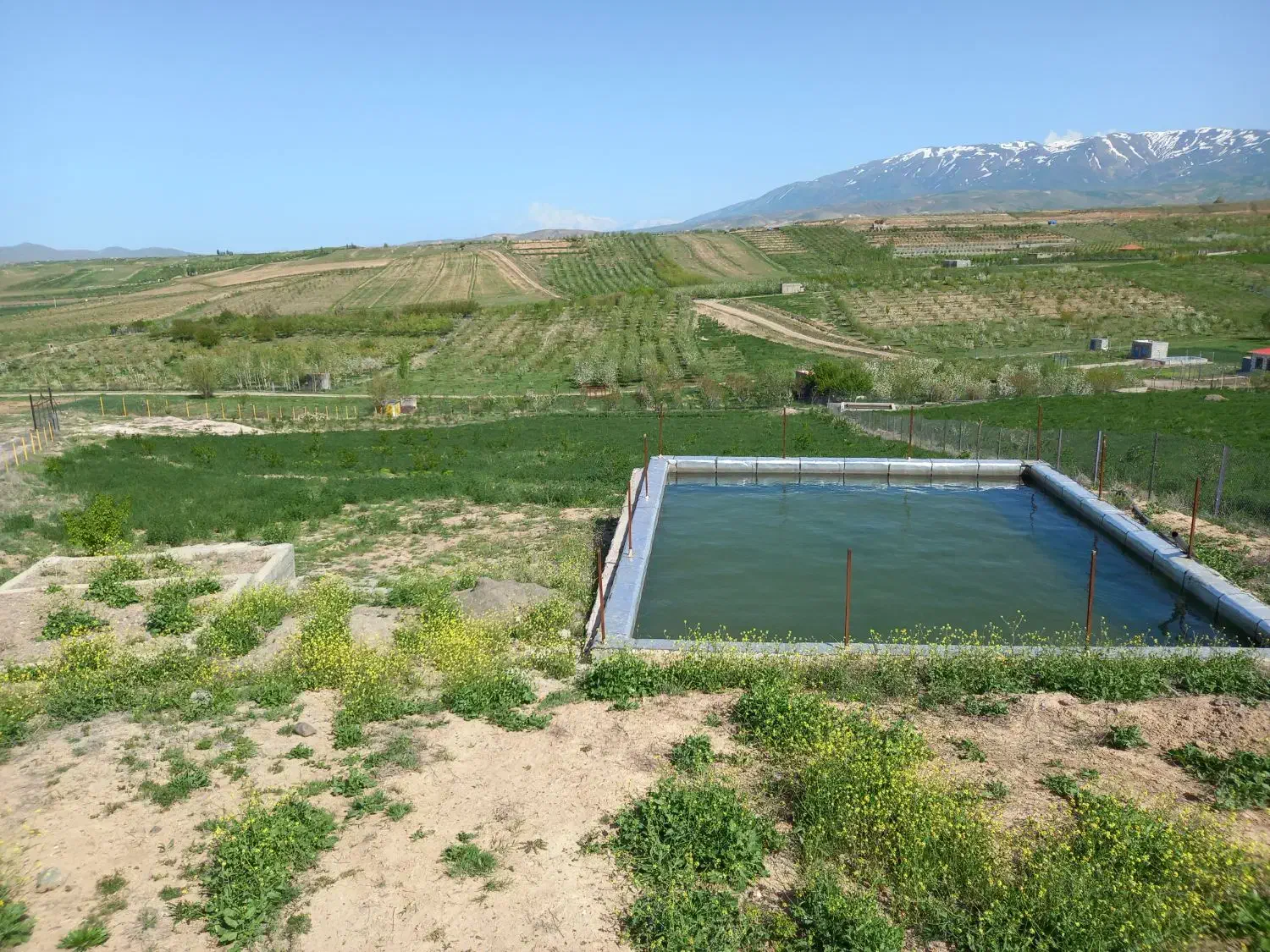 فروشی|فروش دفتر صنعتی، کشاورزی، تجاری|اهر, |دیوار