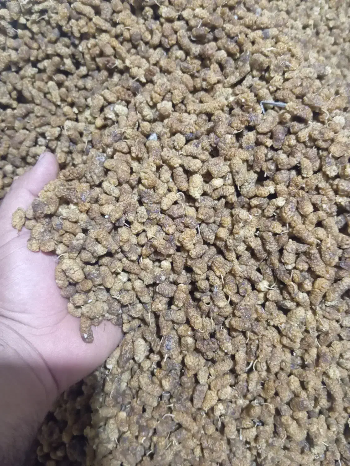 توت خشک|خوردنی و آشامیدنی|اهر, |دیوار