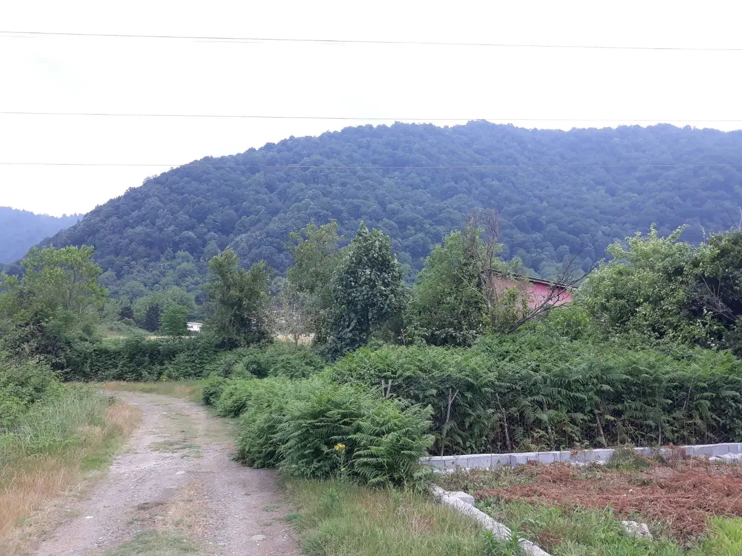 زمین سورخانی موقیعت استثنایی|فروش زمین و ملک کلنگی|چابکسر, |دیوار