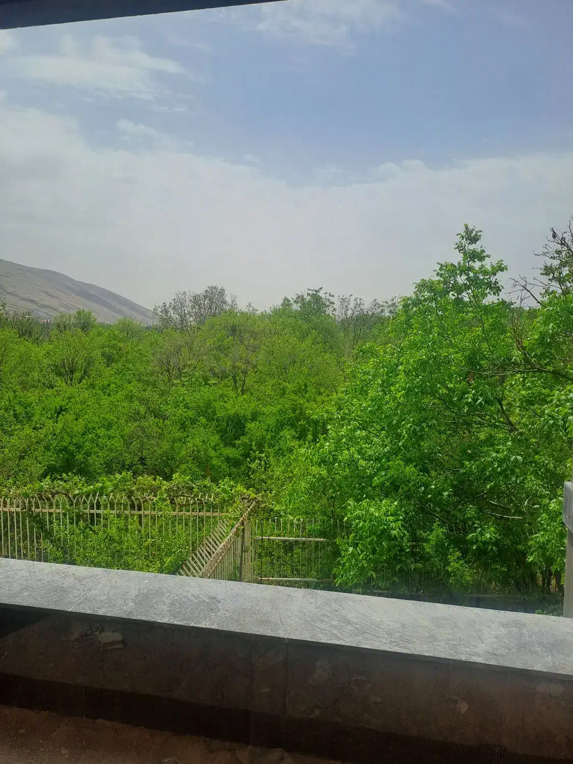 باغ لاکچری دشتکوه/زیرقیمت منطقه+قابل تهاتر|فروش زمین و ملک کلنگی|شیراز, معالی‌آباد|دیوار