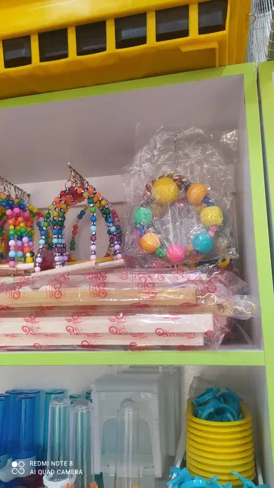 دان پرندگان زینتی مکمل دارو تقویتی قناری طوطی طیور|لوازم جانبی حیوانات|ابهر, |دیوار