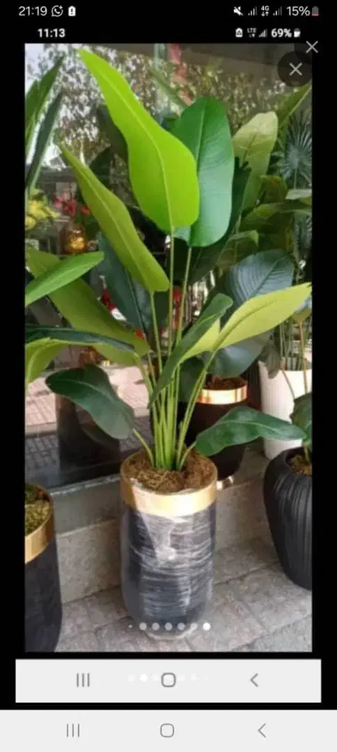 درختچه نیکولا|گل مصنوعی|تهران, مشیریه|دیوار