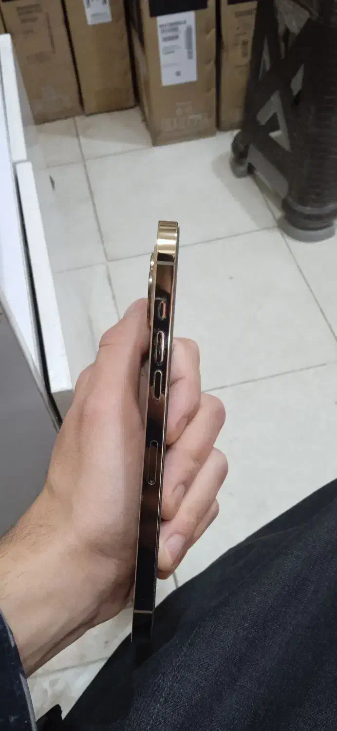 آیفون 12 پرومکس|موبایل|بانه, |دیوار