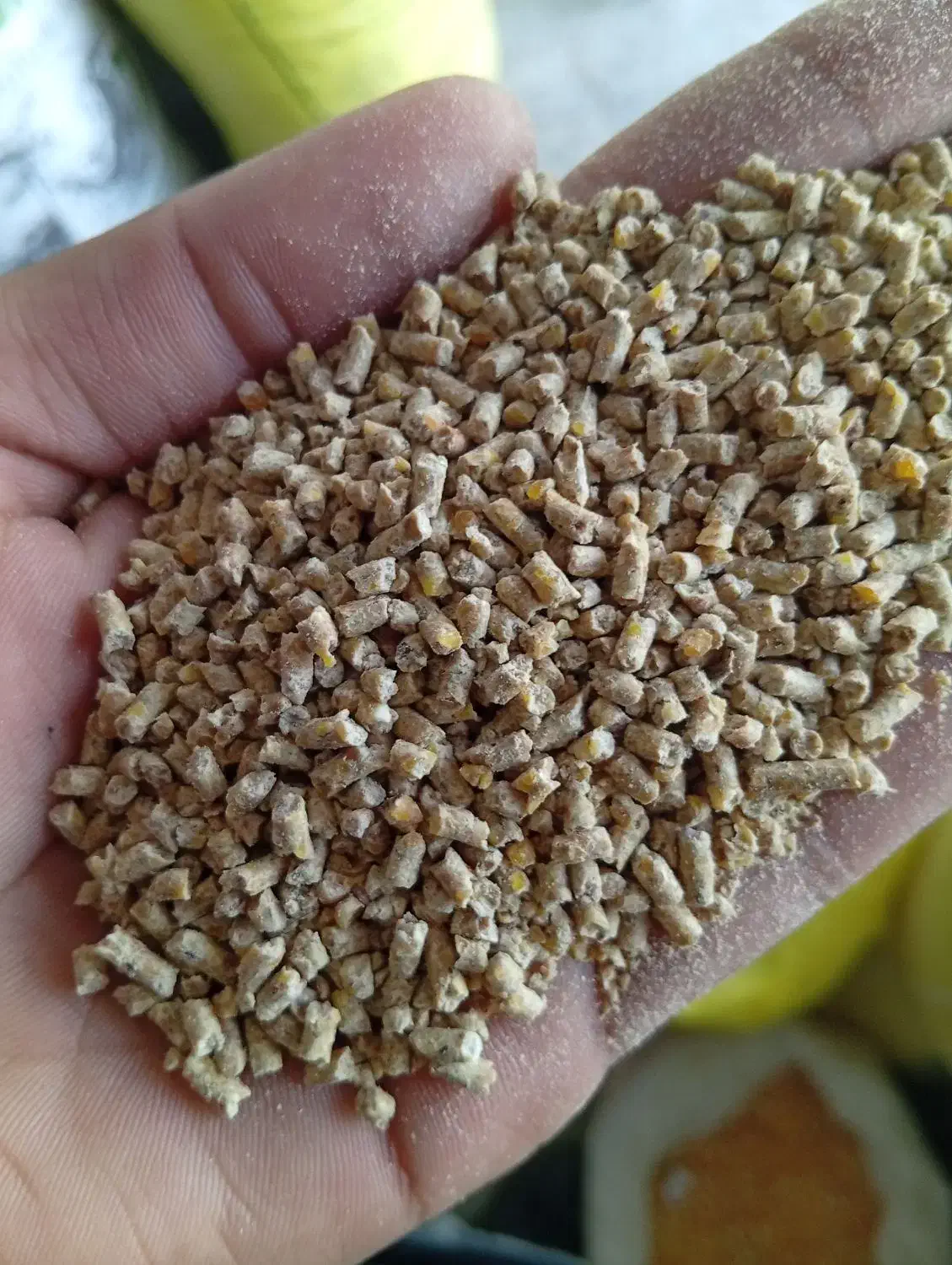 خرید وفروش خوراک دام و طیور|عمده‌فروشی|تربت جام, علوی|دیوار