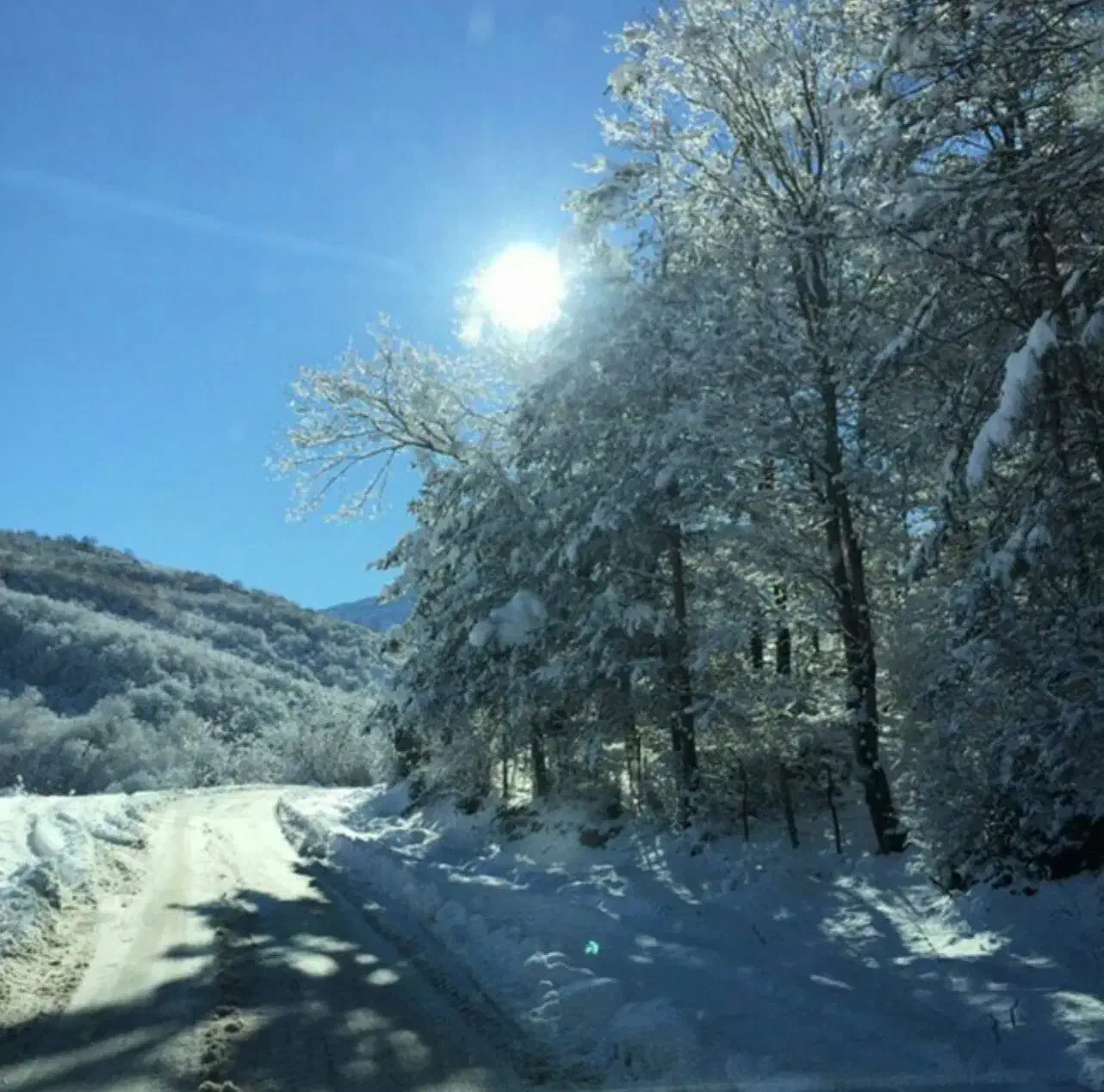 انارم|فروش زمین و ملک کلنگی|پل سفید, |دیوار