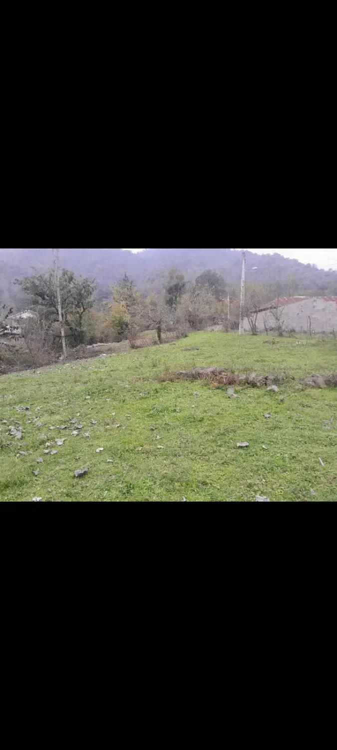 زمین|فروش زمین و ملک کلنگی|گوراب زرمیخ, |دیوار