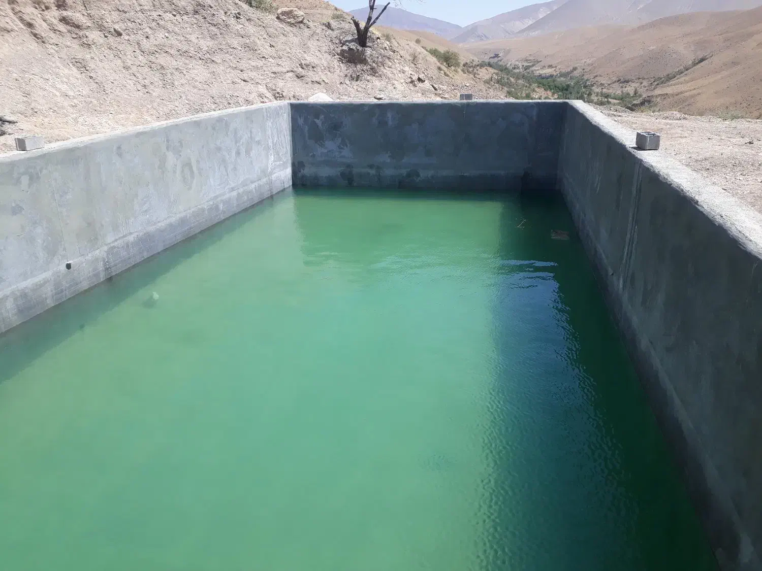 ساخت وتعمیر استخر|خدمات پیشه و مهارت|ساوه, |دیوار