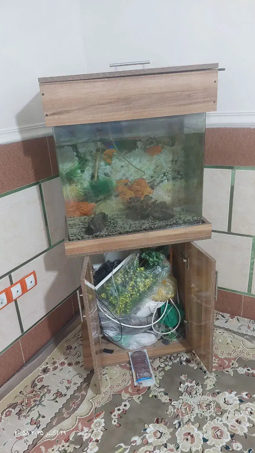 آکواریوم شیشه خم|ماهی|ورامین, شهرک مدرس|دیوار