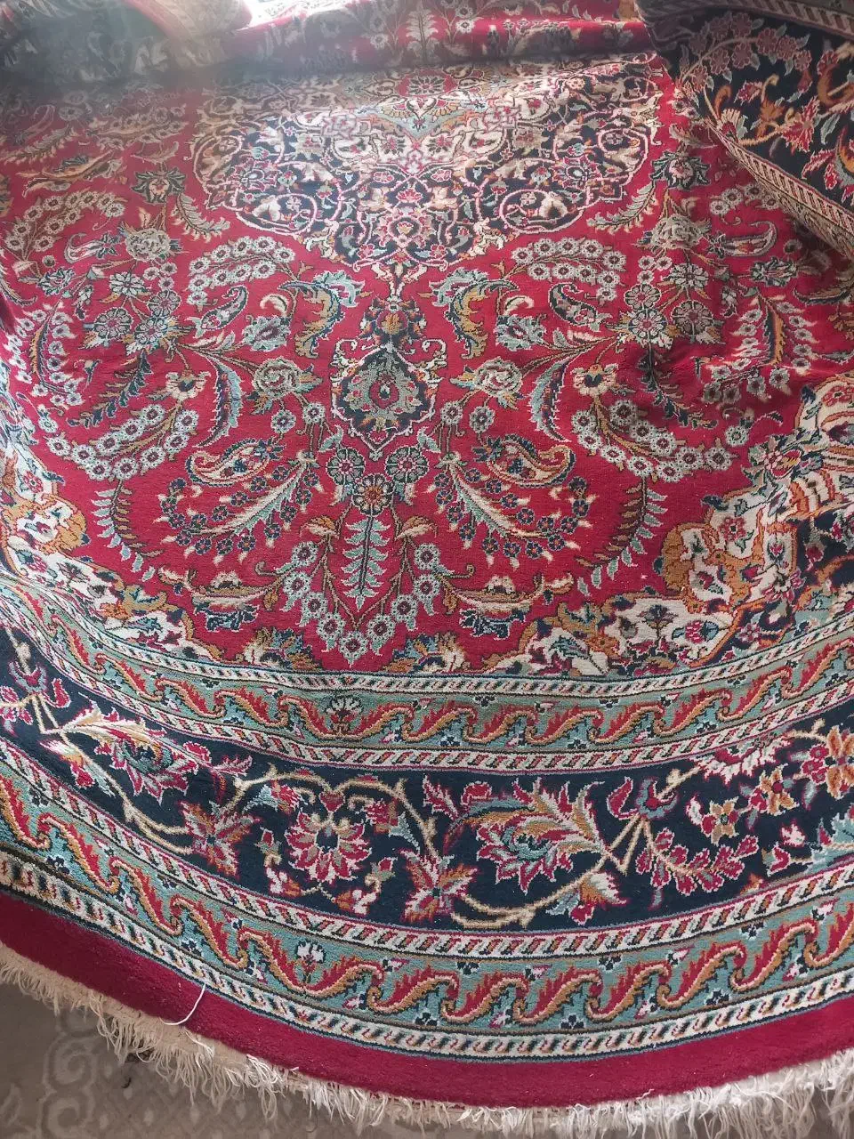 فرش ۱۲ متری پر گوشت|فرش|گلبهار, شهر جدید گلبهار|دیوار