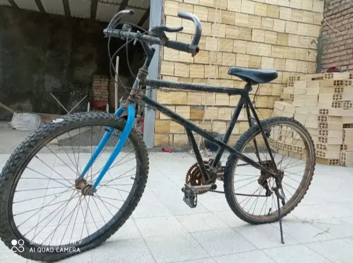 دوچرخه|دوچرخه، اسکیت، اسکوتر|سبزوار, غرب نیروگاه|دیوار