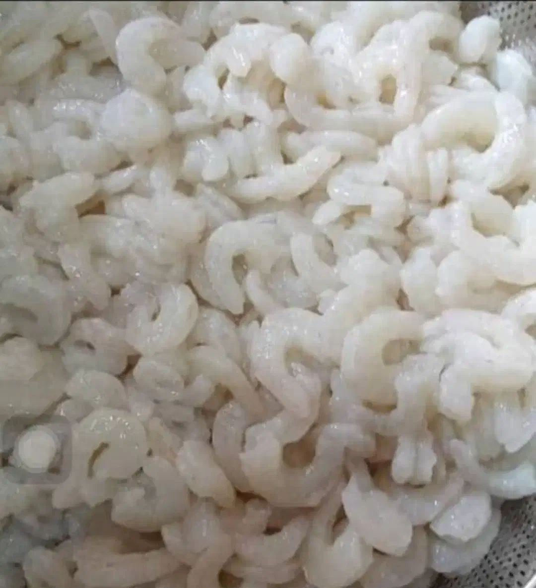 میگ منجمد سرتیز|خوردنی و آشامیدنی|قشم, |دیوار