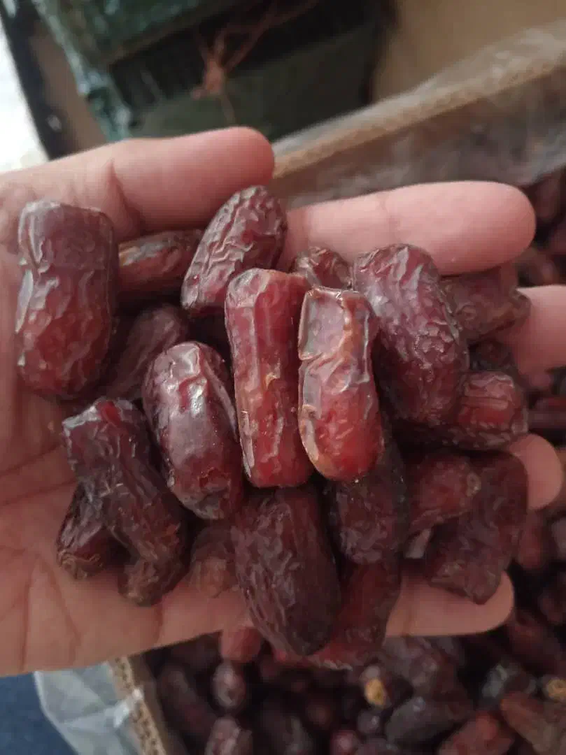 رطب عسلی طلای جنوب و خرما کبکاب مرکز ما هستیم|خوردنی و آشامیدنی|شیراز, قصرالدشت|دیوار