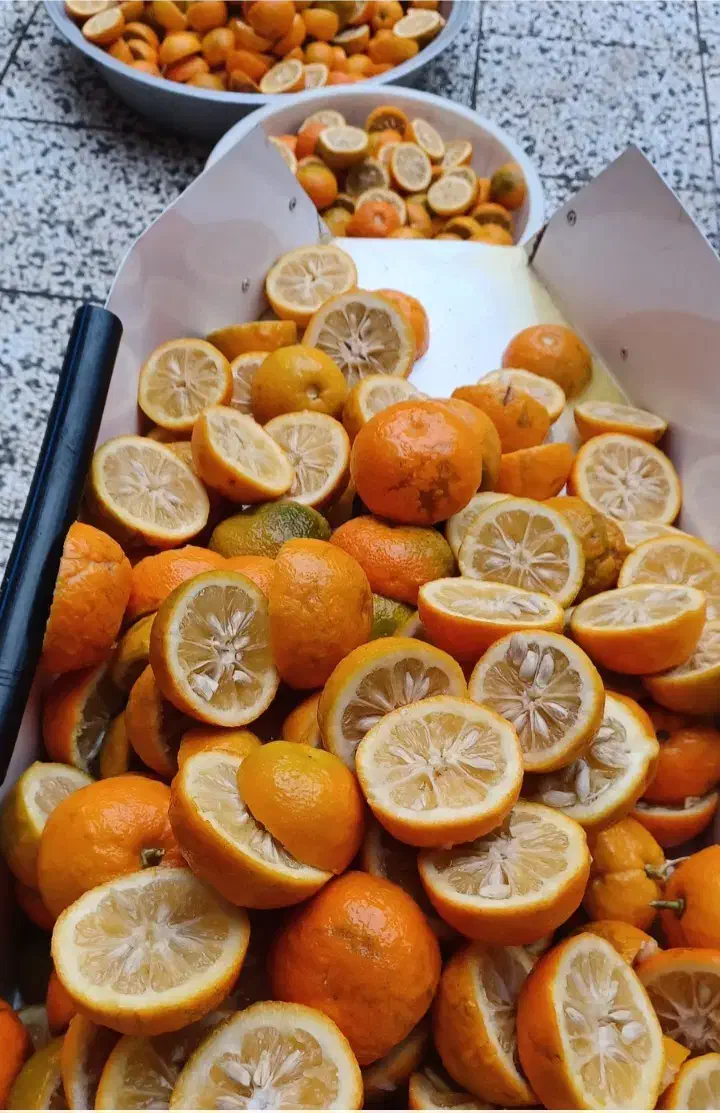 دستگاه اب نارنج گیری سفارشات پذیرفته میشه|آبمیوه‌گیر و آب‌مرکبات‌گیر|کردکوی, |دیوار